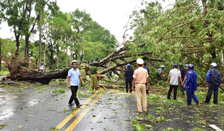 Lực lượng công an thành phố Huế tham gia dọn dẹp cây xanh bị gãy đổ bởi bão số 5.