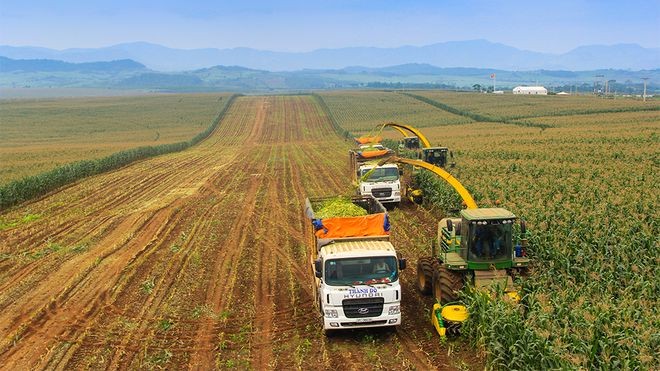 BAC A BANK hiện đang cấp tín dụng cho nhiều dự án nông nghiệp công nghệ cao, hướng đến phát triển bền vững.