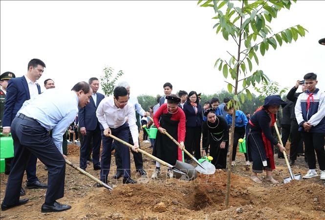 Chủ tịch nước Võ Văn Thưởng và các đại biểu tham gia trồng cây tại Lễ phát động Tết trồng cây “Đời đời nhớ ơn Bác Hồ” Xuân Giáp Thìn 2024. (Ảnh: Dương Giang/TTXVN)