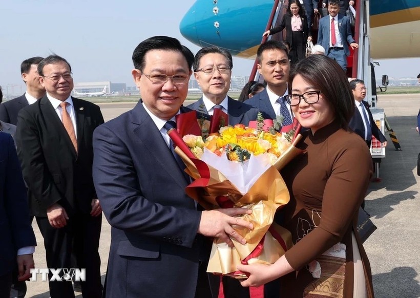 Cán bộ, nhân viên Tổng lãnh sự quán và đại diện kiều bào ở Thượng Hải đón Chủ tịch Quốc hội Vương Đình Huệ tại sân bay Hồng Kiều Thượng Hải (Ảnh: Nhan Sáng/TTXVN)