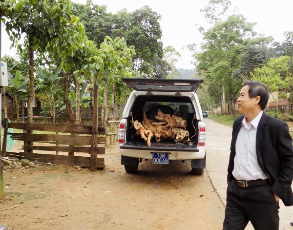 Ông Phạm Công Thành, Phó Giám đốc Trung tâm y tế dự phòng huyện Tuyên Hóa cạnh xe biển xanh chở gỗ hương giáng lậu (Ảnh do người dân cung cấp)