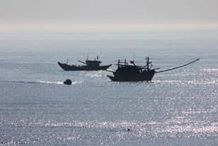 Tàu cá ngư dân đánh bắt trên biển Cửa Tùng Quảng Trị. Ảnh minh hoạ