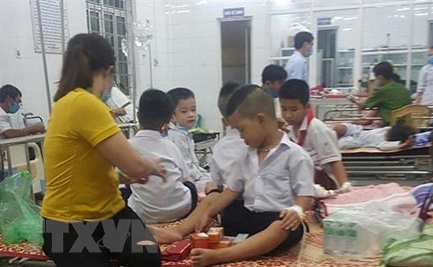 Các em học sinh bị ong đốt được đưa vào Trung tâm Y tế huyện Cam Lộ để điều trị. (Ảnh: TTXVN).