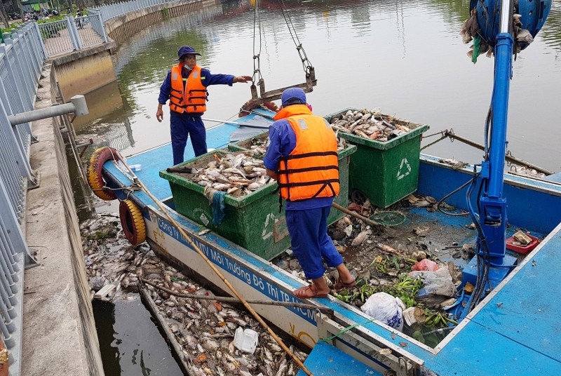 Nhân viên vệ sinh môi trường đang thu vớt xác cá chết trên kênh Nhiêu Lộc- Thị Nghè