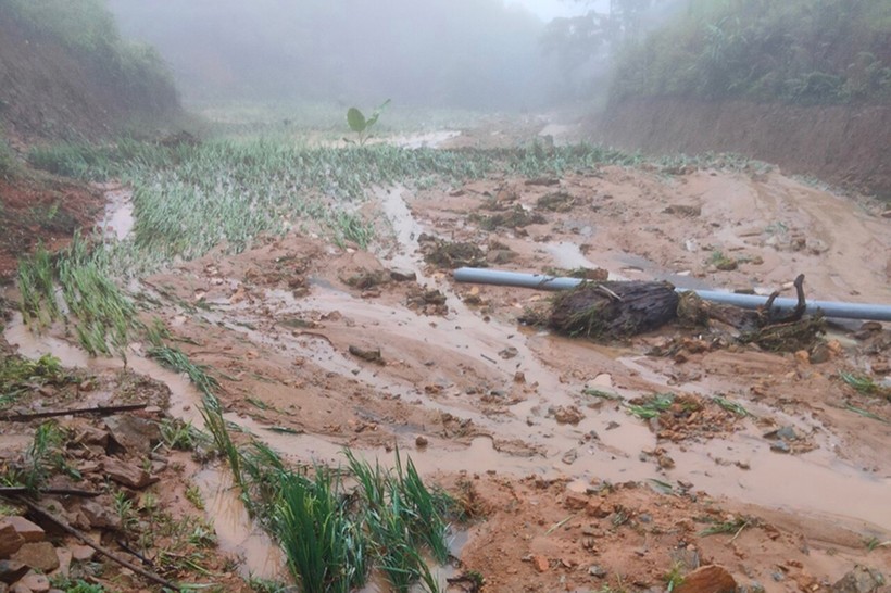 Ruộng lúa của người dân huyện Quế Phong bị đất đá vùi lấp.