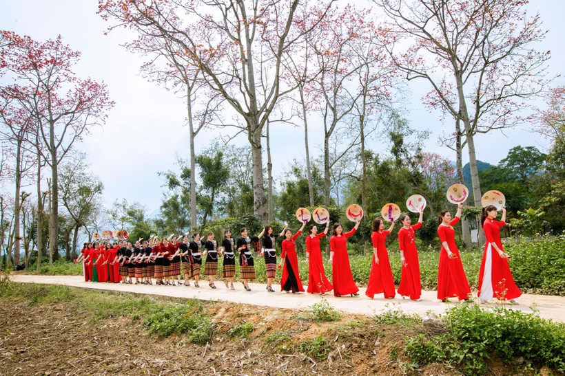 Để bảo tồn, phát huy giá trị cây hoa Gạo và các di tích trên địa bàn, UBND xã Tam Sơn đã tổ chức Lễ hội hoa Gạo lần thứ nhất, diễn ra từ 12-15/3/2024.