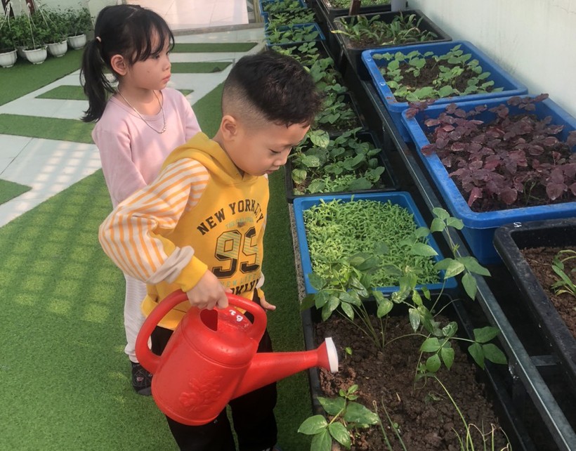 Trẻ được thăm quan, trải nghiệm tưới nước cho vườn rau trên cao tại Trường Mầm non Tân Mai (Hoàng Mai, Hà Nội).
