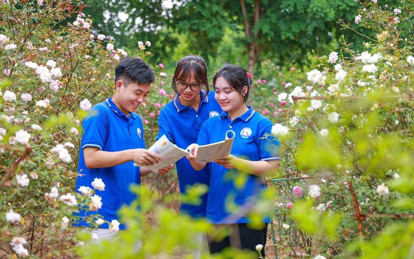 Vườn hồng tại khuôn viên Trường THPT Kim Ngọc (Vĩnh Phúc) đang kỳ nở rộ là nơi các em học sinh có thể tới trao đổi bài mỗi giờ ra chơi.