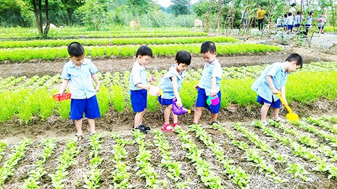 Khánh Hòa: Ngành giáo dục phát động phong trào “Tết trồng cây đời đời nhớ ơn Bác Hồ”