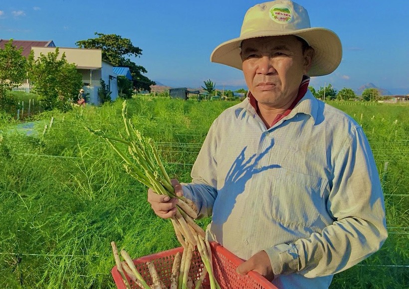 Ông Hùng Ky nông dân tỷ vùng đi lên từ hai bàn tay trắng.