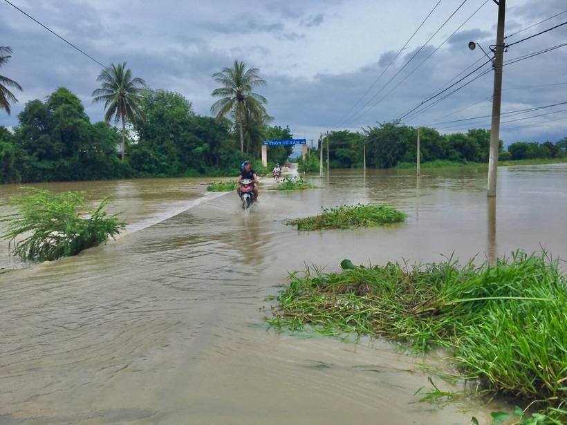 Sáng nay tại tuyến đường dẫn vào thôn Từ Tâm, xã Phước Hải, huyện Ninh Phước bị ngập cục bộ. (Ảnh: Quốc Hải).