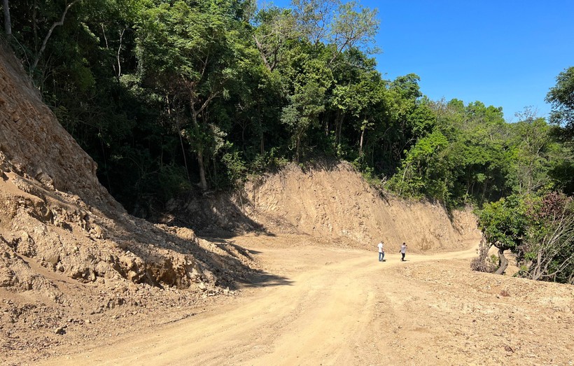 Tuyến đường công vụ mở xuyên rừng, trong đó có diện tích rừng thuộc dự án KfW6.