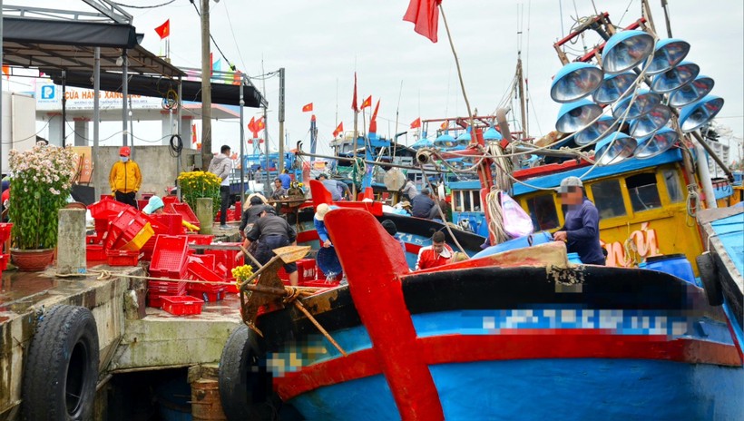 Chủ tàu cá ở Quảng Ngãi vi phạm trong lĩnh vực thủy sản bị phạt hơn 850 triệu đồng. Ảnh minh hoạ.