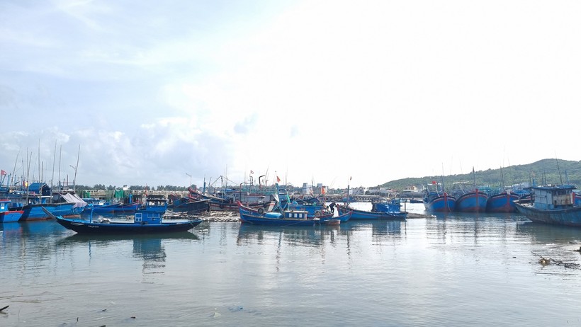 Cảng Sa Huỳnh đã sạch xác tàu đắm.