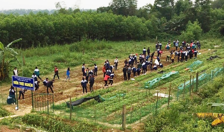 Học sinh Trường THPT Kỳ Anh thực nghiệm trồng hoa hướng dương trong một giờ học.