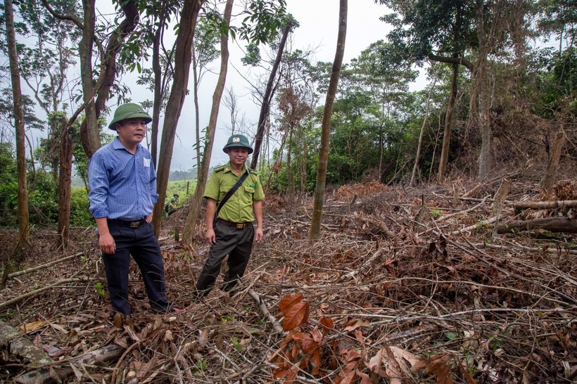 Đoàn kiểm tra huyện Đakrông kiểm tra hiện trường vụ phá rừng vào ngày 21/4.