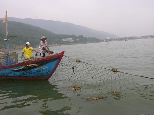 Bình Định: Bàn giao hệ thống ngư cụ phòng tránh cá nhám 