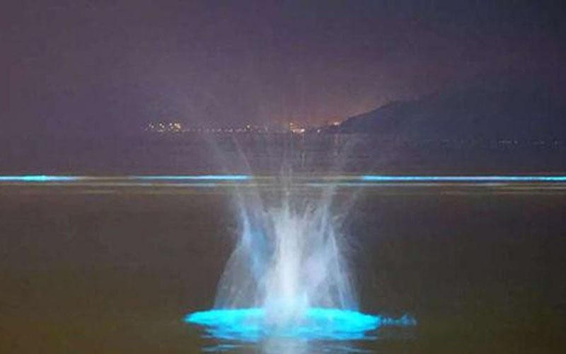 Xôn xao ánh sáng xanh ma quái xuất hiện trên bờ biển Trung Quốc 