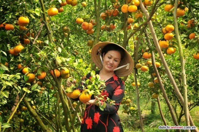 Trái cây Việt: Làm sao để nâng tầm thương hiệu?
