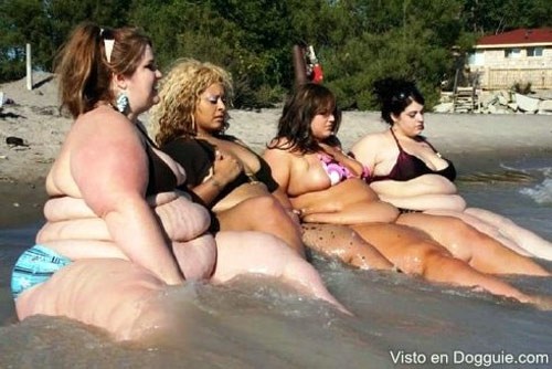Anh em chắc phải sốc khi thấy 4 cô gái mập ngồi tắm biển  