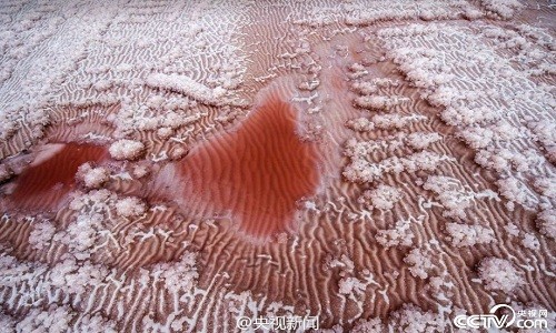 "Sa mạc hồng" lạ mắt xuất hiện ở Trung Quốc  