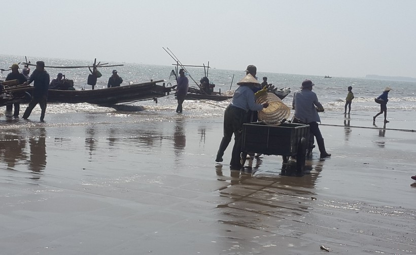 Ngư dân xã Hải Tiến, huyện Hoằng Hóa, Thanh Hóa thu hoạch cá, tôm sau mỗi chuyến ra khơi.