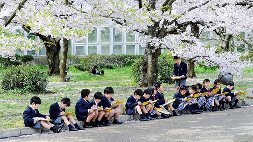 Nhật Bản: Tệ bắt nạt trong trường học gây hậu quả nghiêm trọng