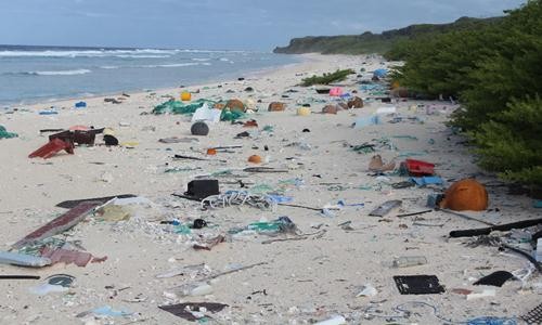 Bãi biển trên đảo Henderson ở phía nam Thái Bình Dương phủ đầy rác thải nhựa. Ảnh: Jennifer Lavers.
