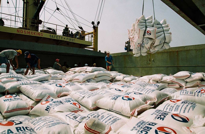 Xuất khẩu gạo từ đầu năm đến nay vẫn tiếp tục giảm mạnh 