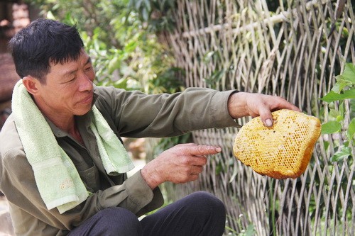 Sản phẩm mật và sáp ong khoái sau một chuyến đi rừng