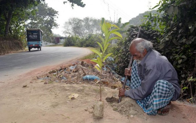 Suốt 48 năm qua, từ khi mới 12 tuổi, cụ ông Abdul chưa từ bỏ "thói quen" trồng cây của mình.