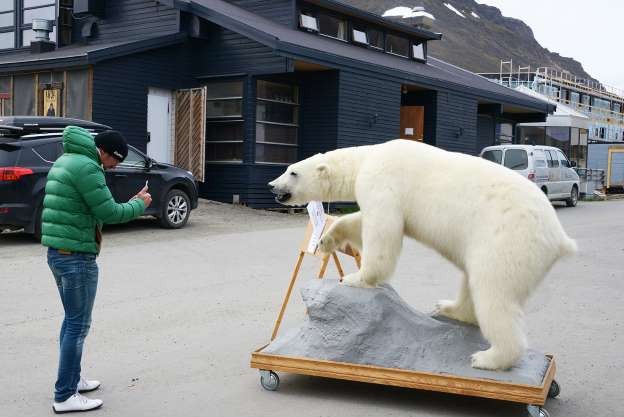  Du khách chụp ảnh gấu Bắc Cực nhồi bông ở Svalbard 