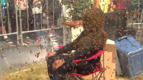 Cho hơn 100.000 con ong bu kín mặt để lập kỷ lục thế giới  