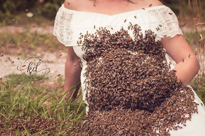 Bí mật bất ngờ phía sau bức hình mẹ bầu chụp hình cùng hàng ngàn con ong 