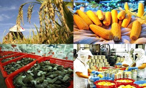 Xuất khẩu nông sản tiếp tục phụ thuộc vào Trung Quốc