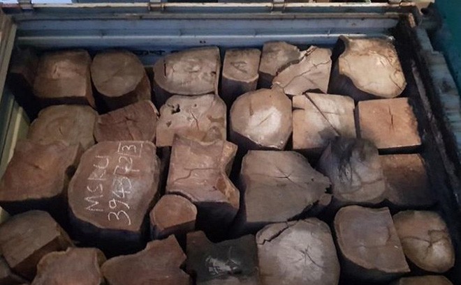 42 tấn gỗ Giáng Hương Tây Phi vừa được lực lượng cảnh sát phát hiện, bắt giữ.