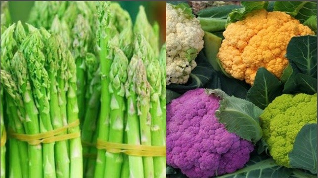 6 loại rau củ giàu canxi bạn nên biết