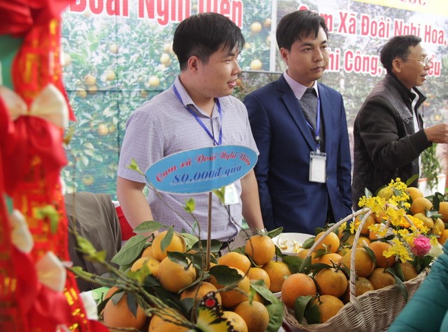 Riêng cam Xã Đoài của huyện Nghi Lộc bán giá 80.000 đồng/quả