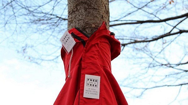 Cậu bé 10 tuổi và câu chuyện đáng nể phục về những chiếc áo ấm được treo lên cây