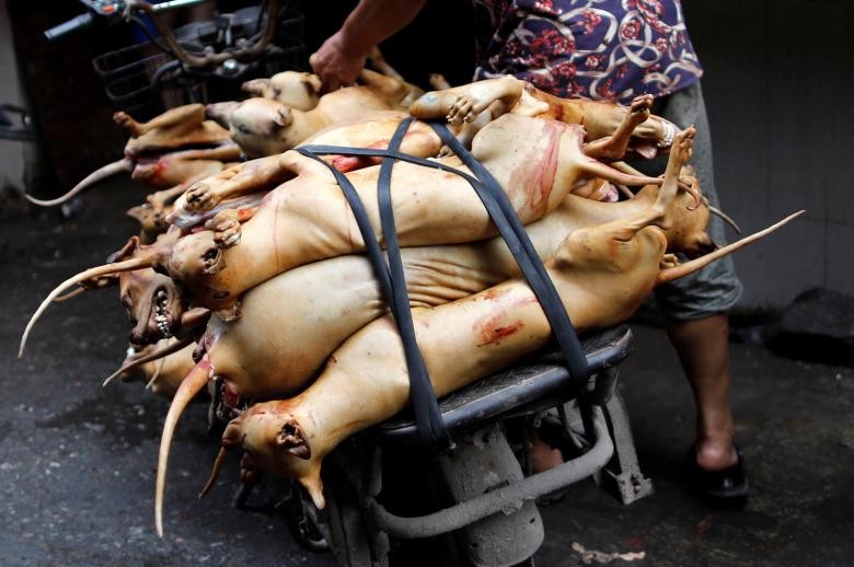 Bị lên án, lễ hội thịt chó ở TQ vẫn đông nghịt khách