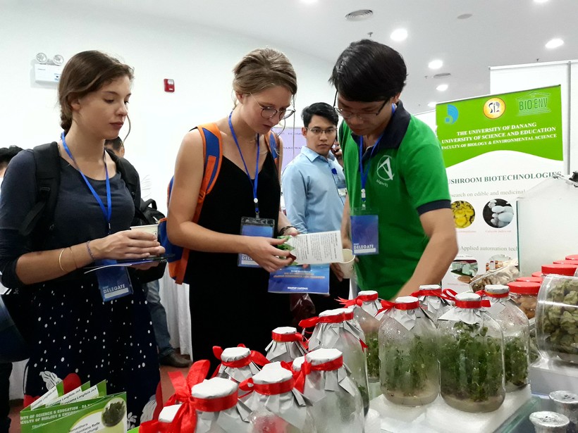 Gian hàng trưng bày các sản phẩm hữu cơ của nhóm SV trường ĐH Sư phạm, ĐH Đà Nẵng thu hút sự quan tâm của nhiều khách quốc tế.