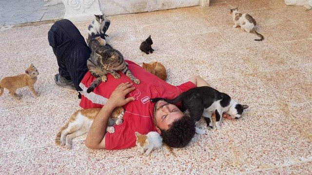 Chuyện kỳ diệu về người đàn ông chăm sóc chó mèo bị bỏ rơi tại Syria