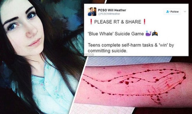 Nhiều thanh thiếu niên trên thế giới đã tự tử vì trò chơi “Thử thách cá voi xanh”
