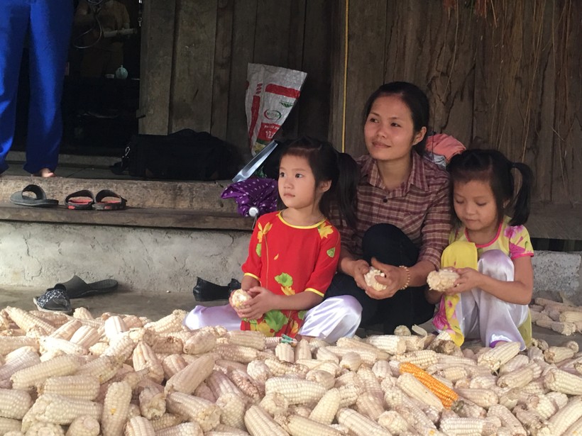 Mẹ con chị Triệu Thị Chầu đang ngồi bóc, tách ngô hạt để làm thức ăn trăn nuôi gia súc trong nhà.