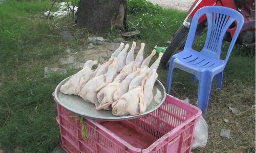 Gà mái đẻ 50.000 đồng một con ở vỉa hè Sài Gòn ăn không mùi vị