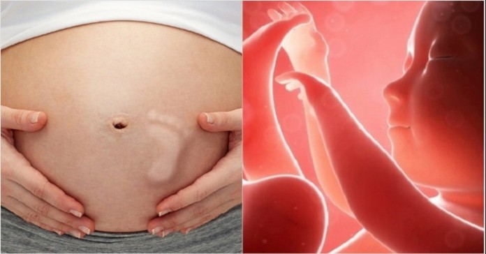 Vì sao thai nhi bắt buộc phải đạp trong bụng mẹ?