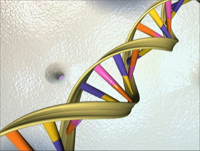 CRISPR-Cas9 là một kỹ thuật chỉnh sửa gen cho phép các nhà khoa học chèn hoặc loại bỏ và chỉnh sửa DNA trong một tế bào với độ chính xác cao