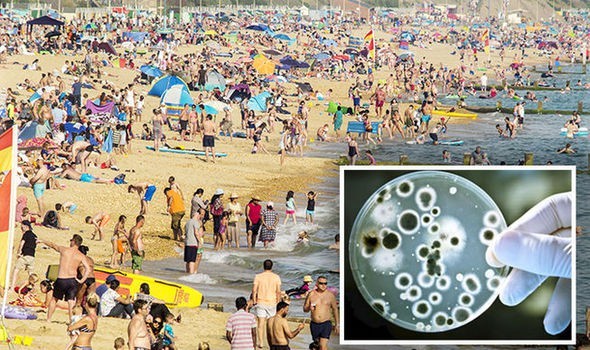 Gần 100 người đi bơi ở bãi biển bị nhiễm loại virus này: Lời cảnh báo dành cho cả những người đi bơi ở bể bơi