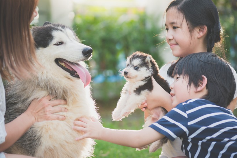 Thói quen chăm sóc vật nuôi giúp trẻ hình thành tình yêu với động vật