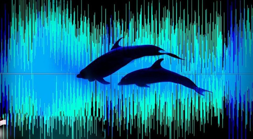 Việc xây dựng một bản đồ âm thanh chi tiết trên đại dương rất cần thiết trong công tác bảo tồn các loài động vật có vú trên biển